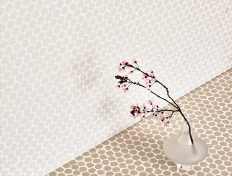 Bonbon - white-Ecru- ph Matteo Imbriani