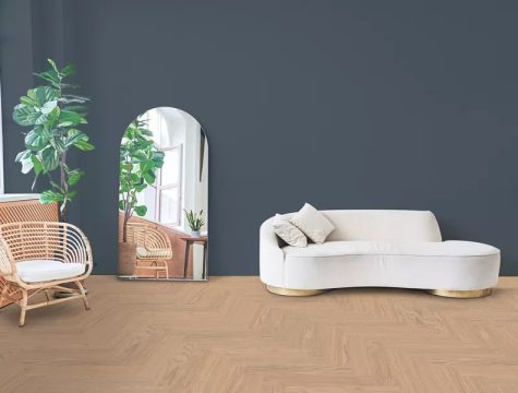 skema star wood spina rovere champagne_1762024161410