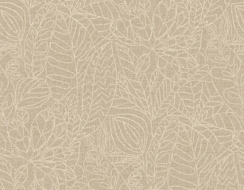 argania 218734