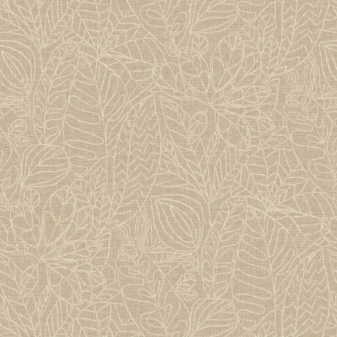 argania 218734