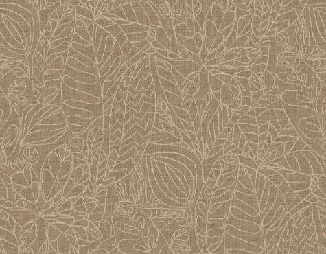 argania 218736