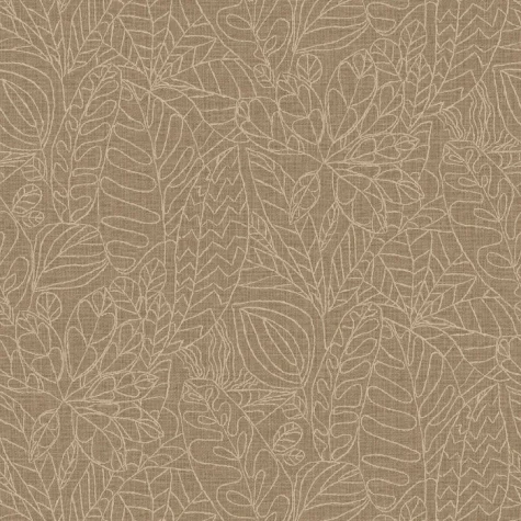 argania 218736