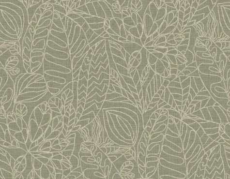 argania218738