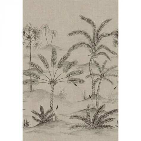 skoura 218761